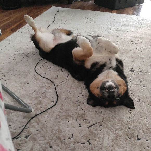 NEW LISTINGS DAILY - BIG STASH CLEAR OUT - Picture 2 of 6